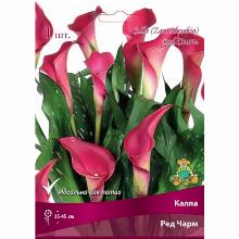 КАЛЛА РЕД ЧАРМ карточка поиск