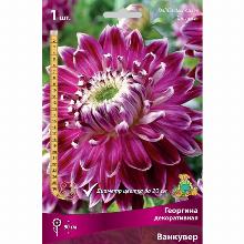 ГЕОРГИНА ВАНКУВЕР карточка поиск