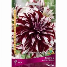 ГЕОРГИНА ТАРТАН карточка поиск