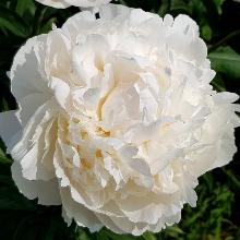 Нажмите чтобы увеличить изображение