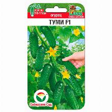 ОГУРЕЦ ТУМИ 5 ШТ сибирский сад