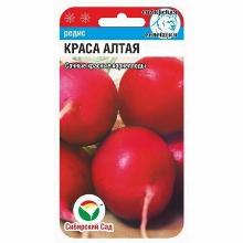 РЕДИС КРАСА АЛТАЯ 2,0 Г сибирский сад
