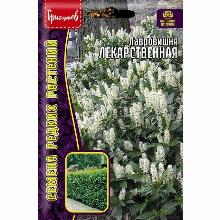 ЛАВРОВИШНЯ ЛЕКАРСТВЕННАЯ 3 ШТ семена редких растений