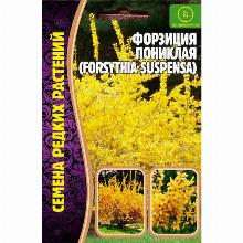ФОРЗИЦИЯ ПОНИКЛАЯ 20 ШТ семена редких растений