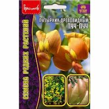 ПУЗЫРНИК ДРЕВОВИДНЫЙ ПУЧ-ПУЧ 15 ШТ семена редких растений