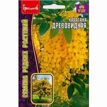 КАРАГАНА ДРЕВОВИДНАЯ 10 ШТ семена редких растений