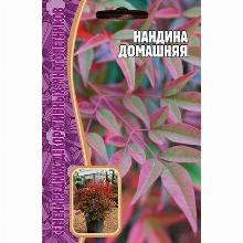 НАНДИНА ДОМАШНЯЯ 4 ШТ семена редких растений