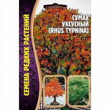 СУМАХ УКСУСНЫЙ 20 ШТ семена редких растений