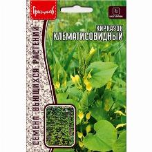 КИРКАЗОН КЛЕМАТИСОВИДНЫЙ 3 ШТ семена редких растений