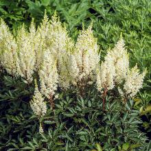 Нажмите чтобы увеличить изображение