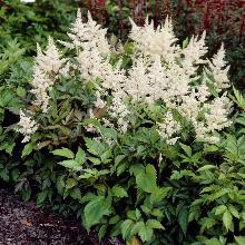 Нажмите чтобы увеличить изображение