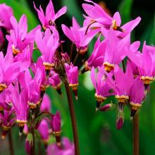 Нажмите чтобы увеличить изображение