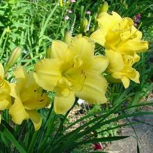 Нажмите чтобы увеличить изображение