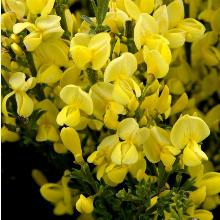 Нажмите чтобы увеличить изображение