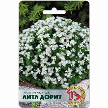 АГЕРАТУМ КАРЛИКОВЫЙ ЛИТЛ ДОРИТ 300 ШТ биотехника
