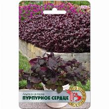 АЛЬТЕРНАНТЕРА ПУРПУРНОЕ СЕРДЦЕ 5 ШТ биотехника