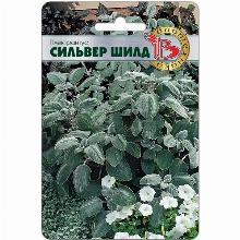 ПЛЕКТРАНТУС СИЛЬВЕР ШИЛД 5 ШТ биотехника