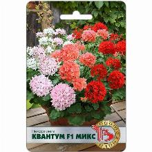 ПЕЛАРГОНИЯ КВАНТУМ F1 МИКС 5 ШТ биотехника