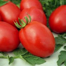 РАССАДА ТОМАТ ДЕ БАРАО КРАСНЫЙ кассета-6шт