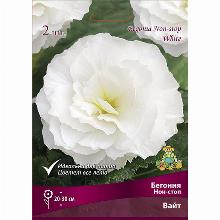 БЕГОНИЯ НОН-СТОП ВАЙТ 2шт-карточка поиск