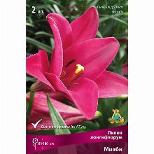 ЛИЛИЯ МИЯБИ 2шт-карточка поиск