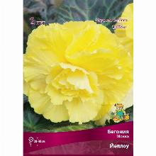 БЕГОНИЯ МОККА ЙЕЛЛОУ 2шт-карточка поиск