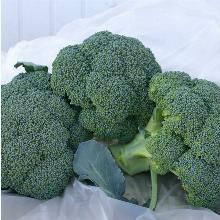 РАССАДА КАПУСТА БРОККОЛИ ГРИН МЭДЖИК F1 кассета-6шт