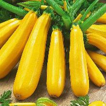 РАССАДА КАБАЧОК ЯСМИН F1 кассета-6шт