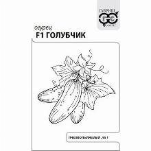 ОГУРЕЦ ГОЛУБЧИК F1 0,2 Г Ч/Б гавриш