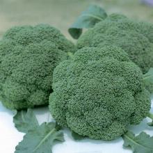 РАССАДА КАПУСТА БРОККОЛИ ДЕТСКИЙ ДЕЛИКАТЕС F1 кассета-6шт