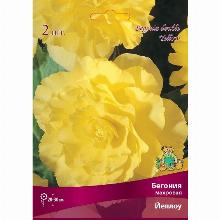 БЕГОНИЯ МАХРОВАЯ ЙЕЛЛОУ карточка поиск