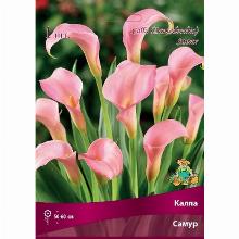 Нажмите чтобы увеличить изображение