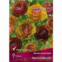 РАНУНКУЛЮС ПИКОТИ КАФЕ О ЛЕ 10шт-карточка поиск