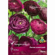 РАНУНКУЛЮС ПЕПЛ 10шт-карточка поиск