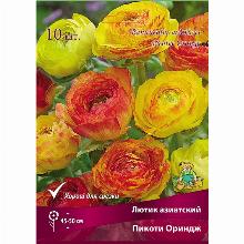РАНУНКУЛЮС ПИКОТИ ОРАНЖ 10шт-карточка поиск