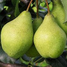 Нажмите чтобы увеличить изображение