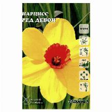 НАРЦИСС РЕД ДЕВОН 5шт-карточка садовита