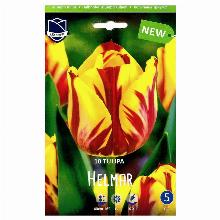 ТЮЛЬПАН ХЕЛМАР 10шт-карточка lefeber