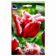 ТЮЛЬПАН НЬЮ САНТА 10шт-карточка lefeber