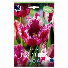 ТЮЛЬПАН ПЕРПЛ ЦИРКУС 10шт-карточка lefeber