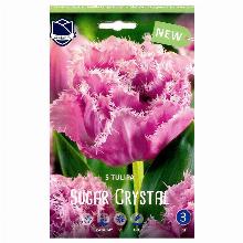 ТЮЛЬПАН ШУГАР КРИСТАЛ 5шт-карточка lefeber