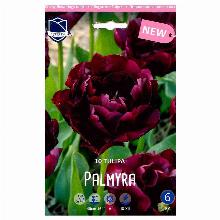 ТЮЛЬПАН ПАЛЬМИРА 10шт-карточка lefeber