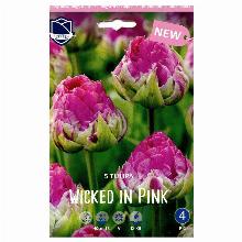 ТЮЛЬПАН ВИКИД ИН ПИНК 5шт-карточка lefeber