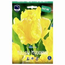 ТЮЛЬПАН ЕЛЛОУ МАДОННА 10шт-карточка lefeber