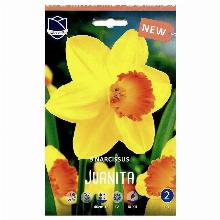 НАРЦИСС ХУАНИТА 5шт-карточка lefeber