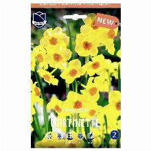 НАРЦИСС МАРТИНЕТТА 5шт-карточка lefeber