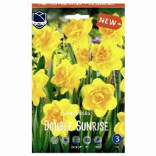 НАРЦИСС ДАБЛ САНРАЙЗ 5шт-карточка lefeber