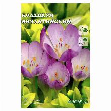 БЕЗВРЕМЕННИК ВИЗАНТИЙСКИЙ карточка садовита