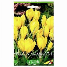 КРОКУС УЕЛЛОУ МЭМОС 5шт-карточка lefeber