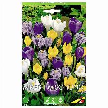 КРОКУС СМЕСЬ 5шт-карточка lefeber